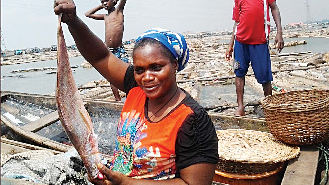fish industry Makoko