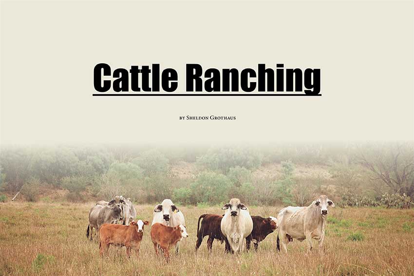 Cattle-ranching