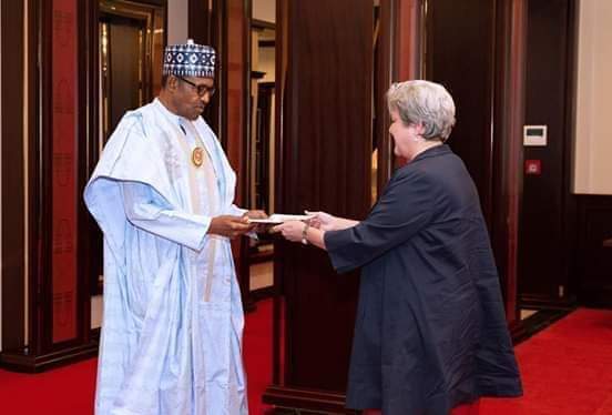 Buhari USA Envoy